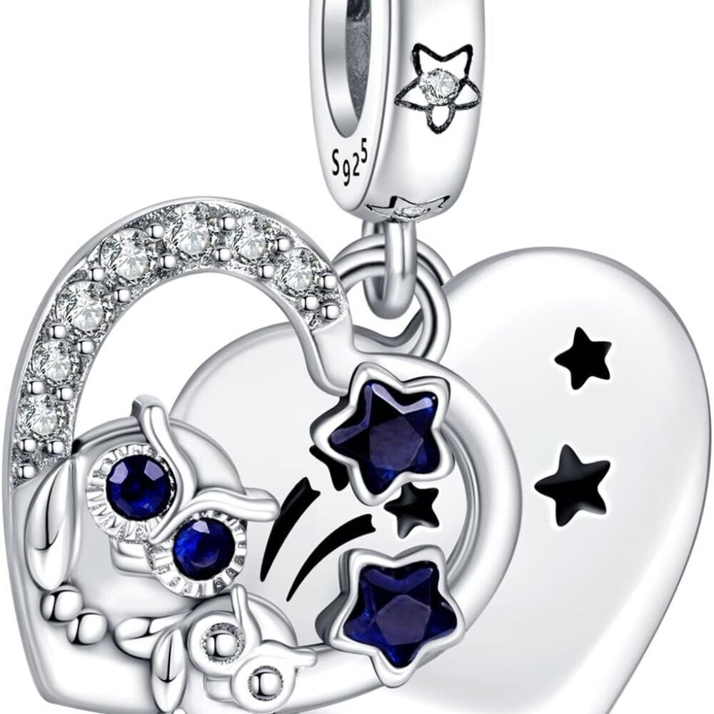 Silver Charms for Bracelets 925 Sterling Dragonfly Family Heart Love Dangle for